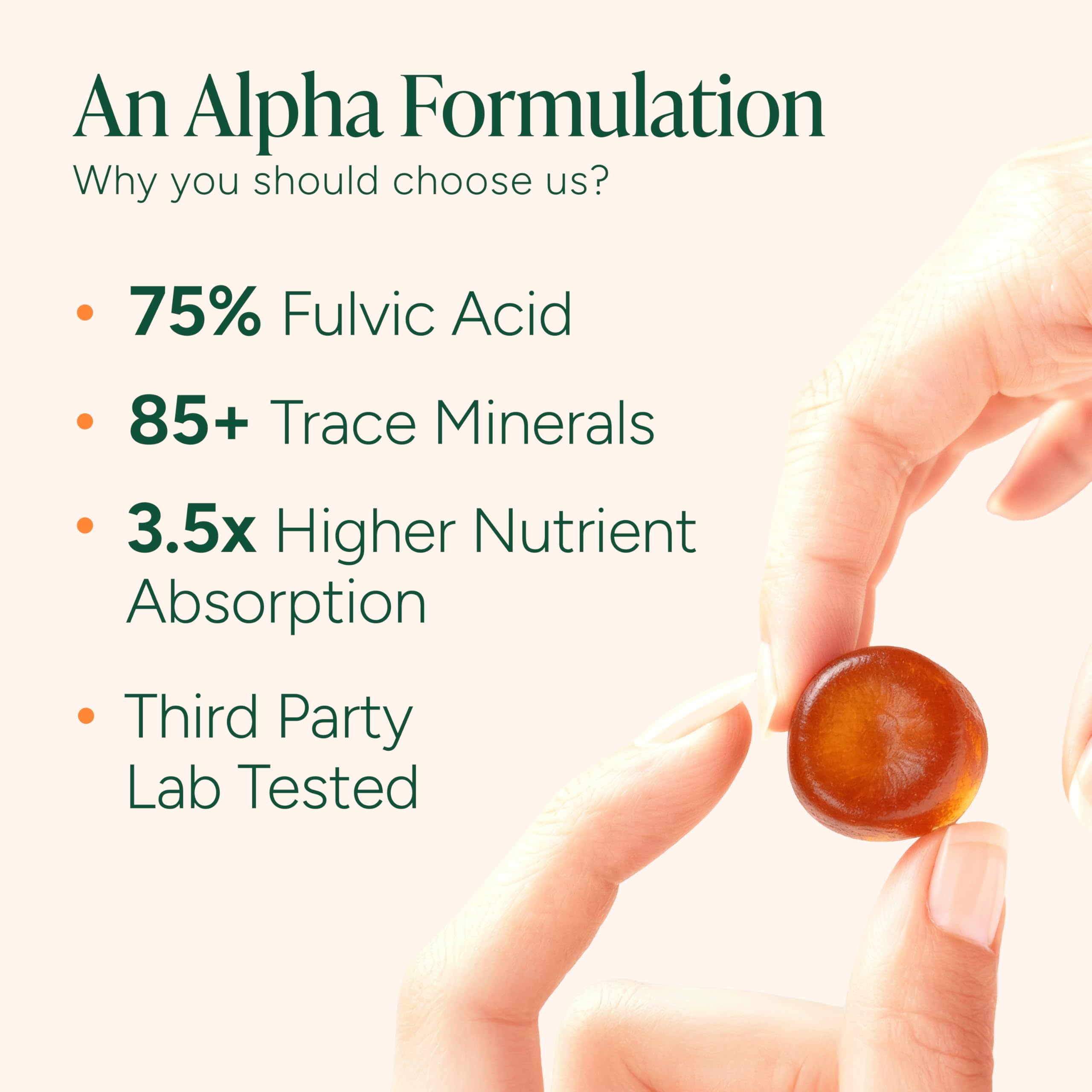 ROOT LABS Alpha Shilajit Gummies | 10-in-1 Formula

