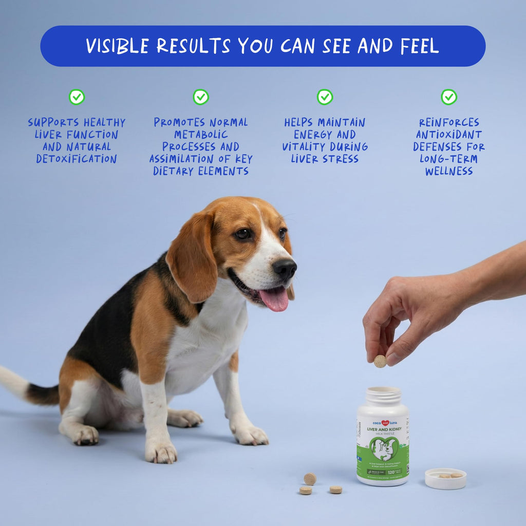 Milk Thistle Liver & Kidney Support for Pets | Coco and Luna

