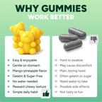 GLP-1 Support Gummies | Dietary Supplement

