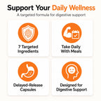 CandAssist Balance ONE Candida Cleanse Support


