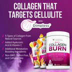 Hydrolyzed Collagen Powder with Multi-Peptide Complex

