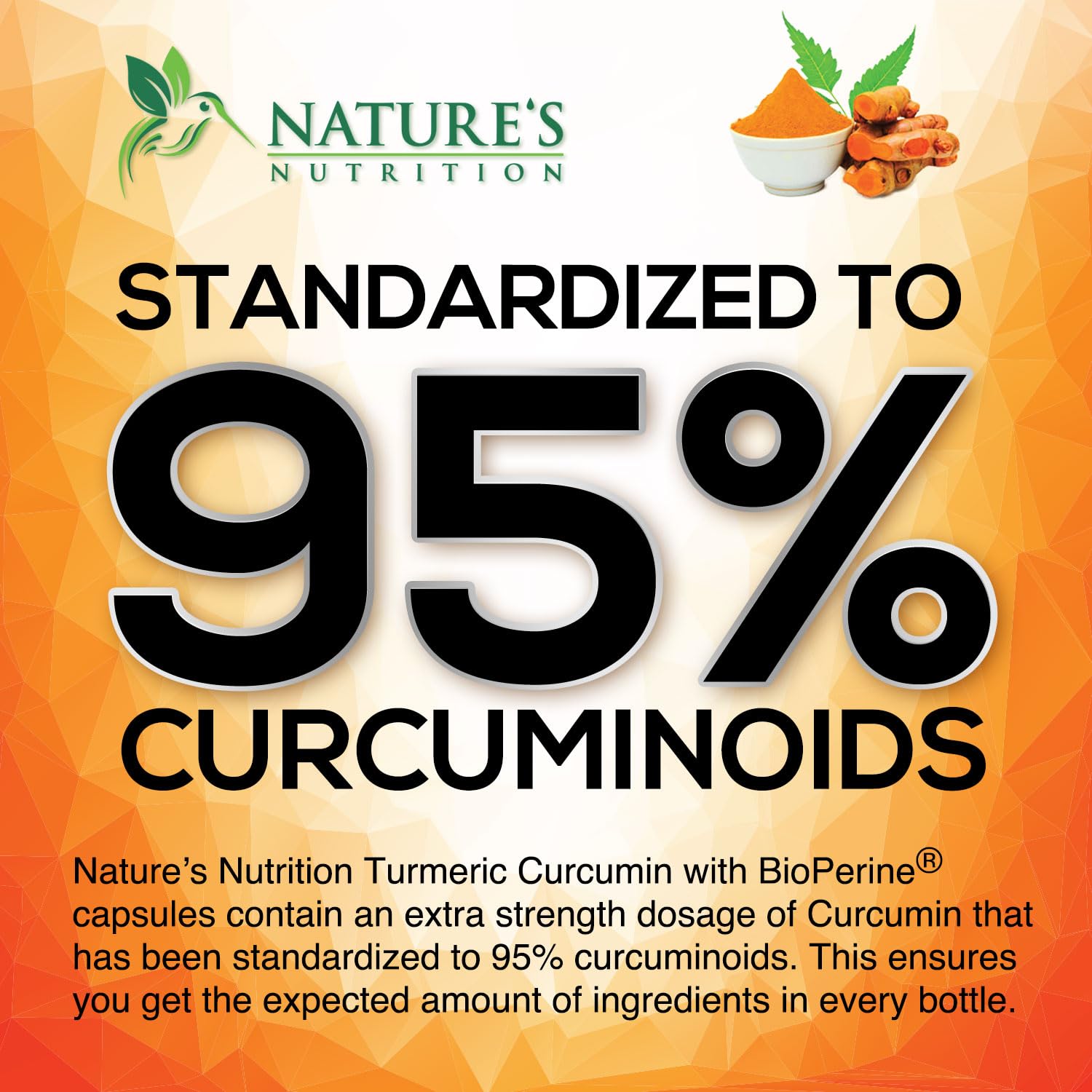 Turmeric Curcumin Supplement with Ginger & BioPerine

