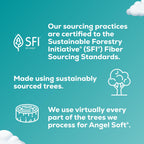 Angel Soft Toilet Paper - Soft & Septic Safe

