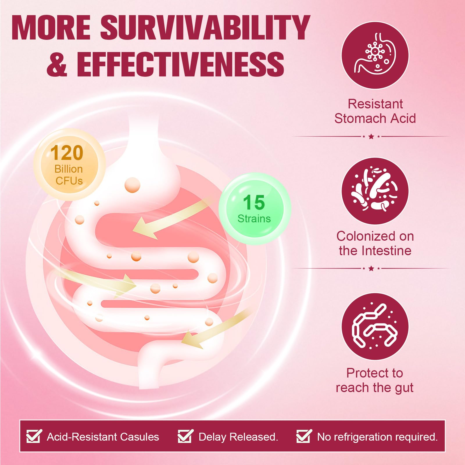 Totaria Probiotics for Women | Gut & Urinary Health

