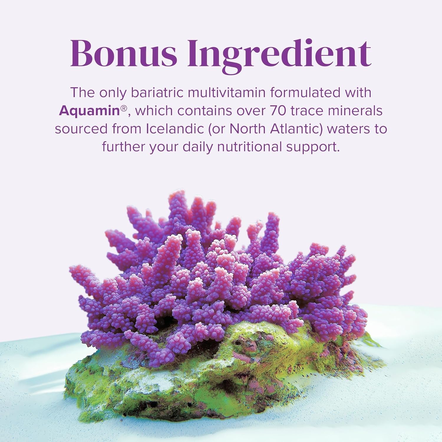 BariMelts Bariatric Multivitamin for Women with Iron

