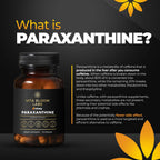 Paraxanthine Capsules by Enfinity | Clean Energy & Focus

