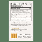 Stonehenge Health Turmeric Curcumin Supplement | Quality

