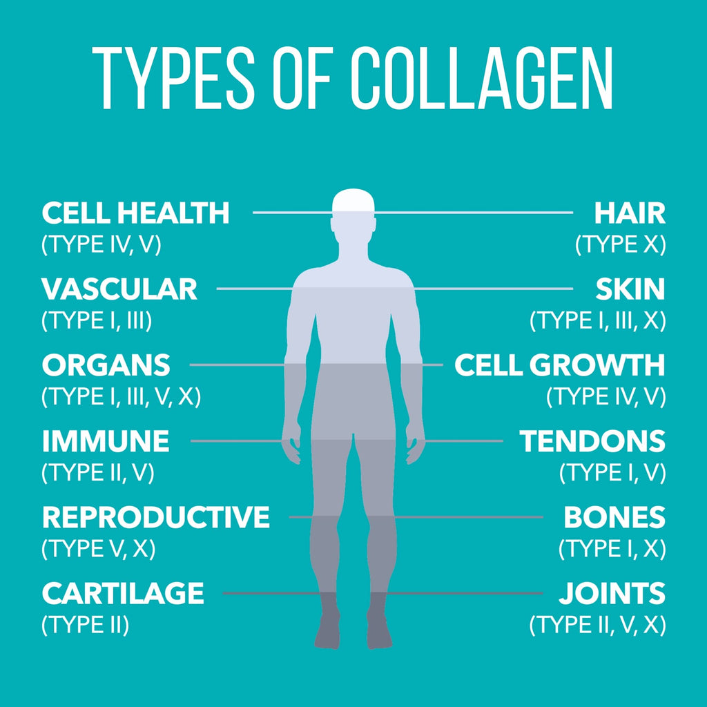 NaturesPlus Collagen Peptides Powder – Hair & Joint Health

