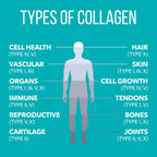 NaturesPlus Collagen Peptides Powder – Hair & Joint Health

