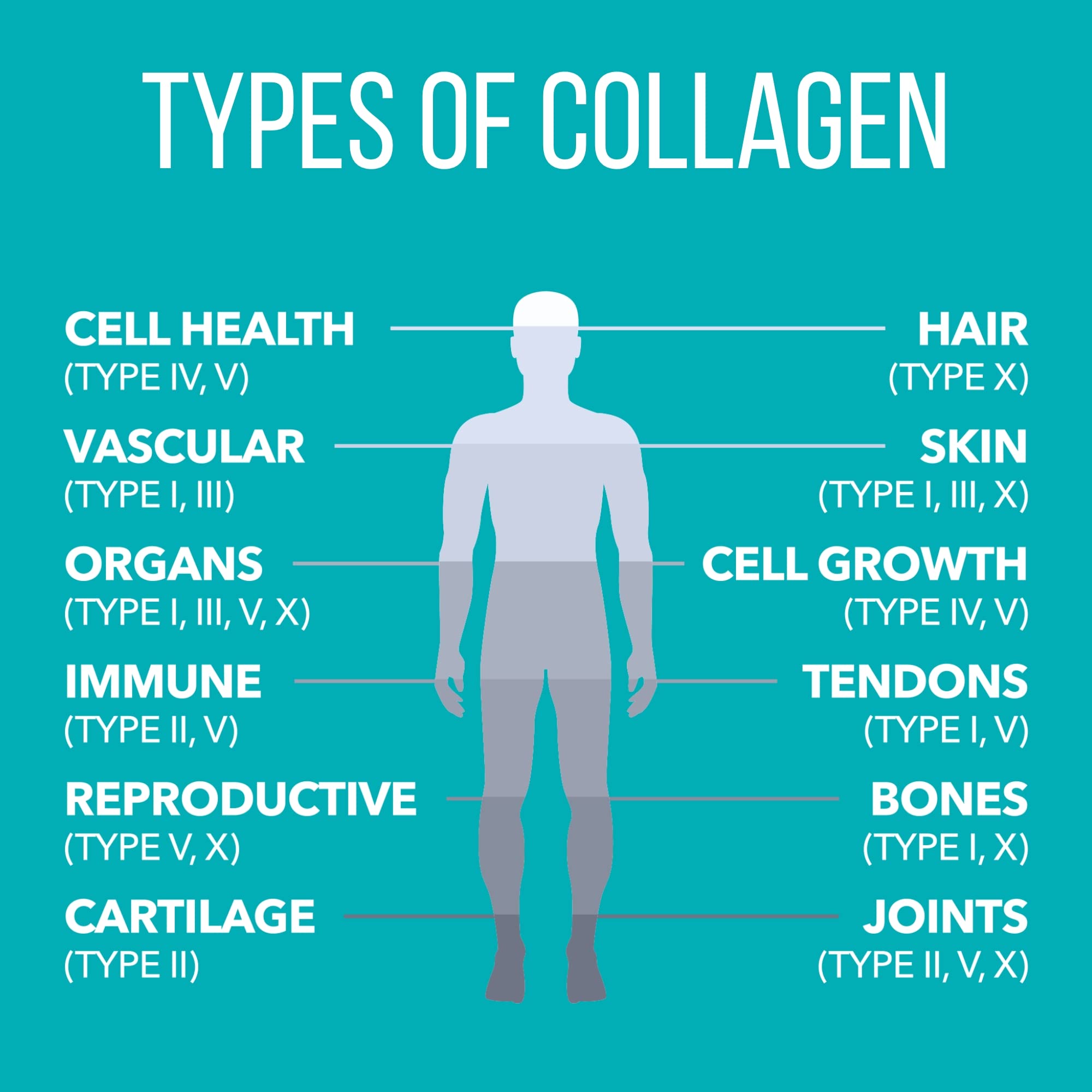 NaturesPlus Collagen Peptides Powder – Hair & Joint Health

