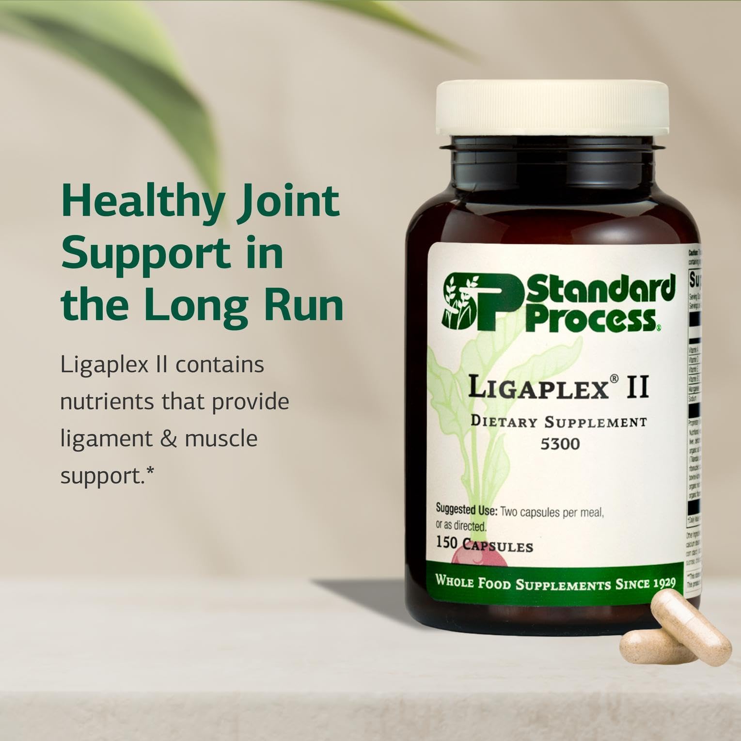 Ligaplex II Joint & Bone Support | Standard Process

