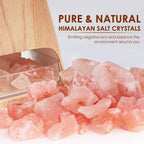 SALKING 2-in-1 Essential Oil Diffuser & Salt Lamp

