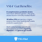VSL4 Gut Daily Probiotics - Multi-Strain & Shelf-Stable

