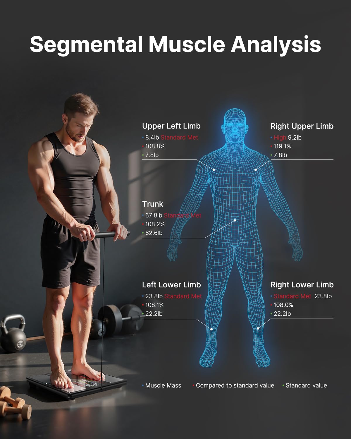 FITINDEX Body Composition Scale

