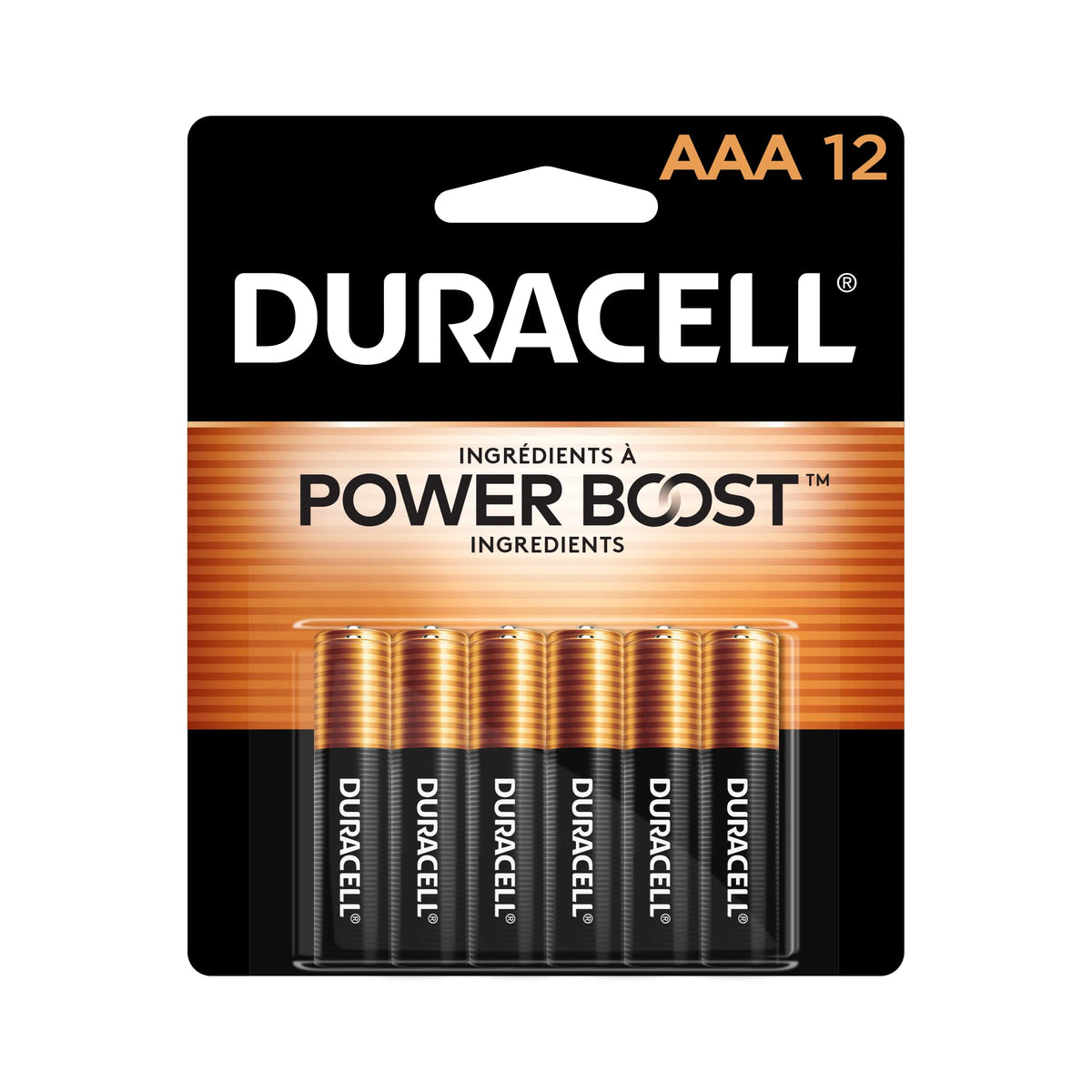 Duracell CopperTop Alkaline Batteries - Reliable Household Power