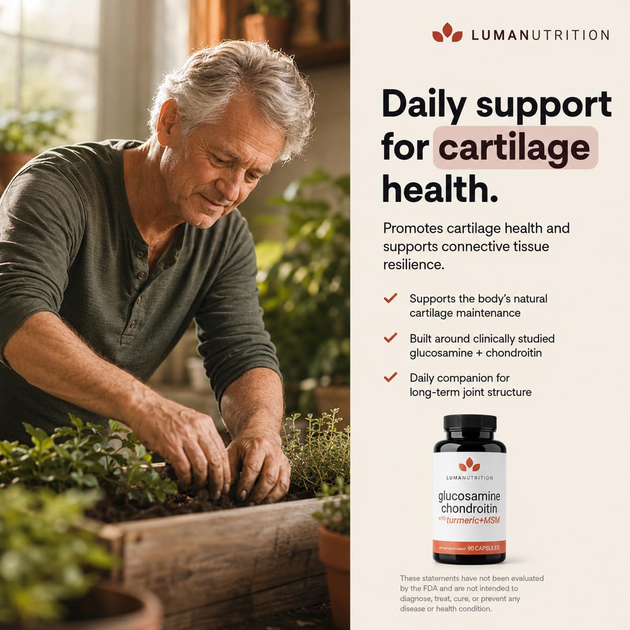 Luma Nutrition Glucosamine Chondroitin MSM Joint Support

