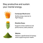 Magic Mind Original Nootropic Shot for Focus and Energy

