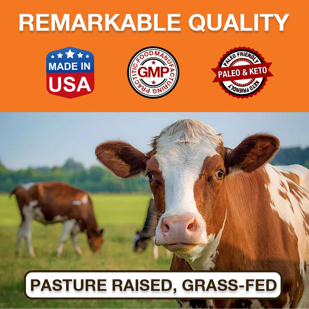 Zammex Grass-Fed Beef Bone Broth Protein Powder

