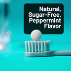 NatureWise Oral Probiotics Mint Chewables for Mouth Health

