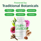 Plant-Based Lymphatic Support | Red Clover & Burdock Root


