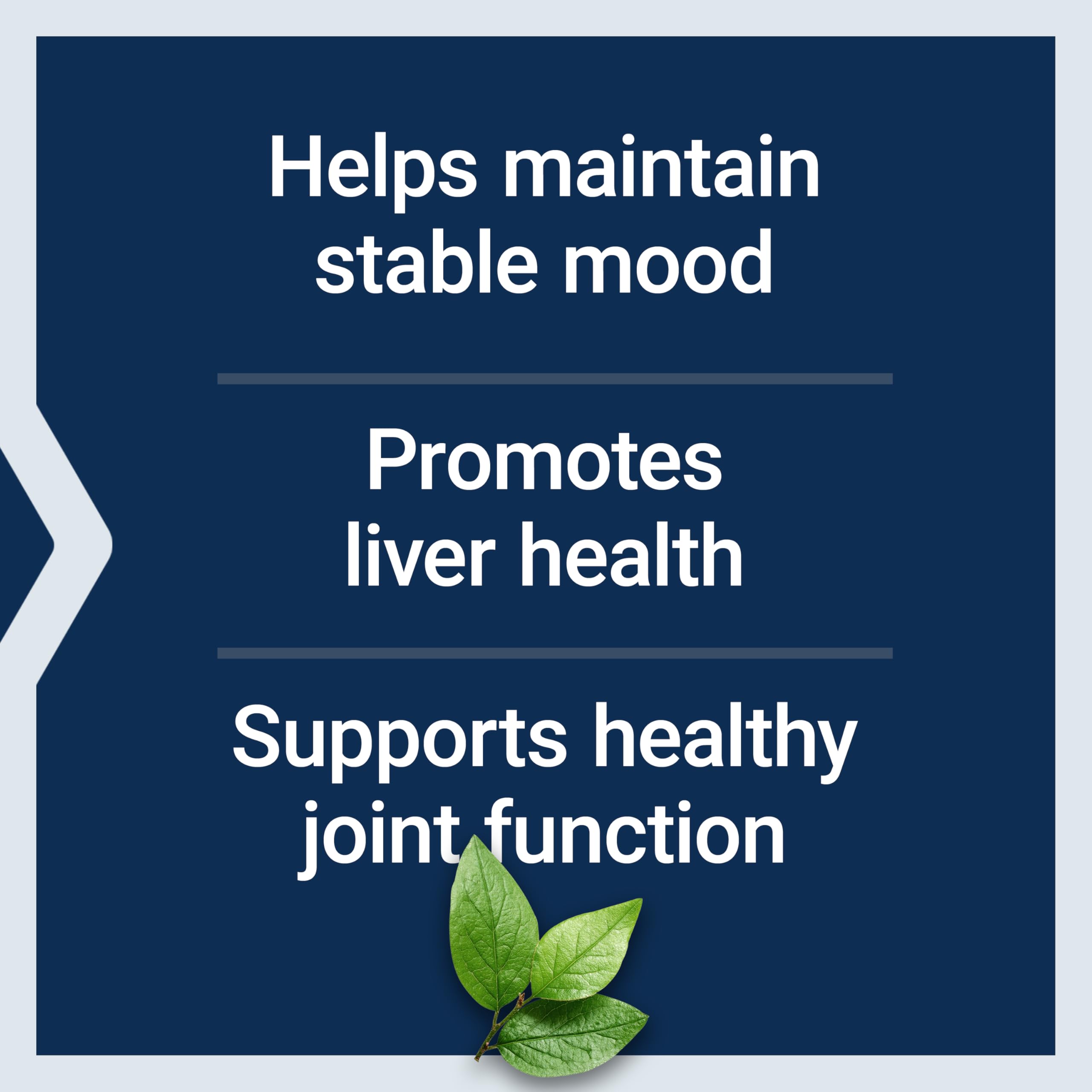 Life Extension SAMe Mood & Joint Support

