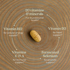 New Chapter One Daily Every Man's Multivitamin Immune Support

