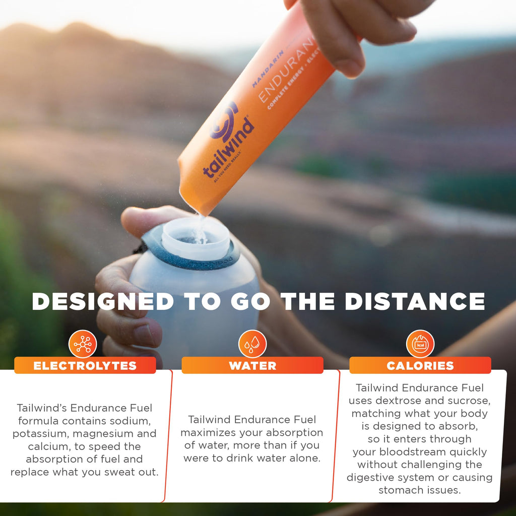 Tailwind Endurance Fuel Carbohydrate & Electrolyte Drink

