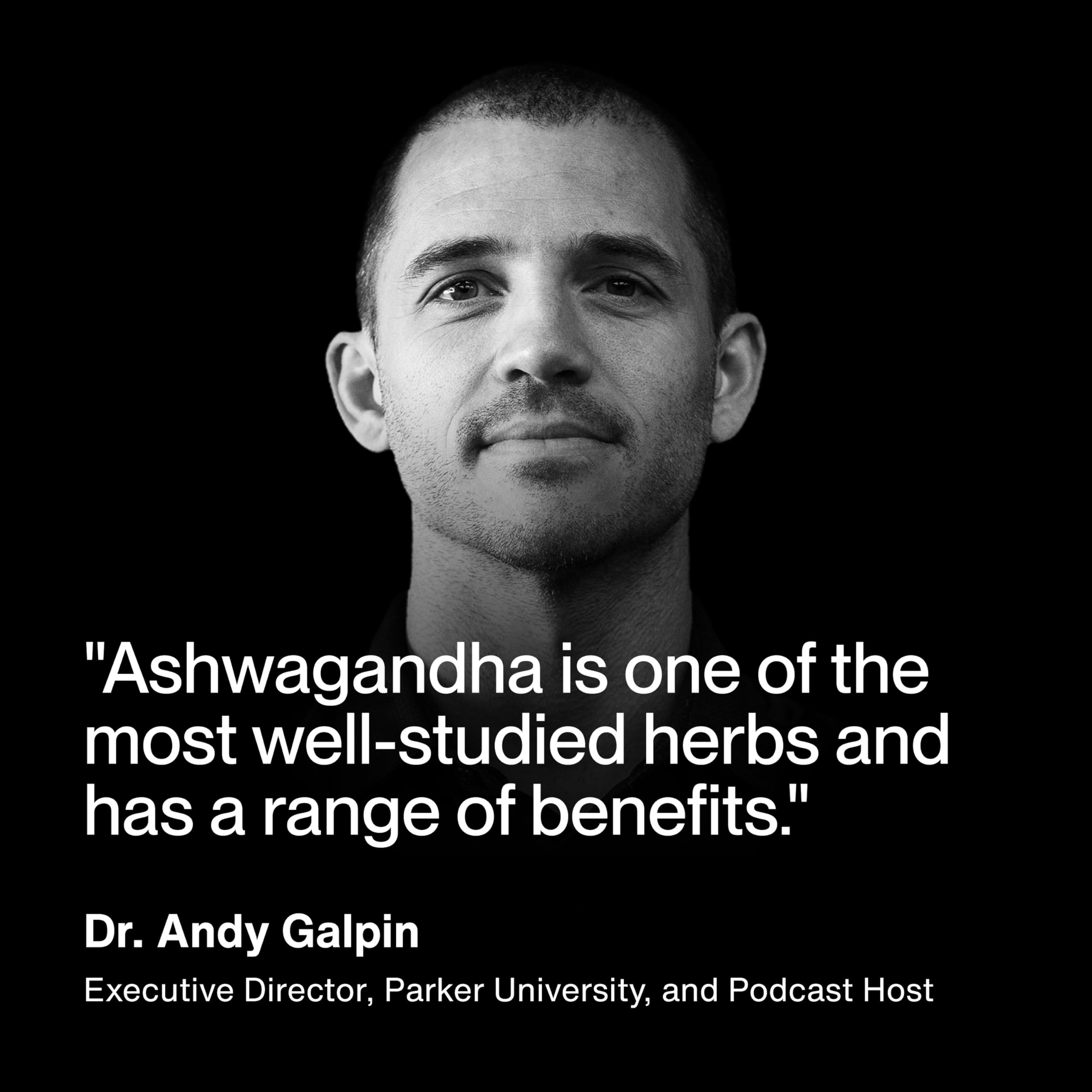 Momentous Ashwagandha Supplement for Focus


