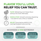Quitine Nicotine Lozenges – OTC Cessation Aid

