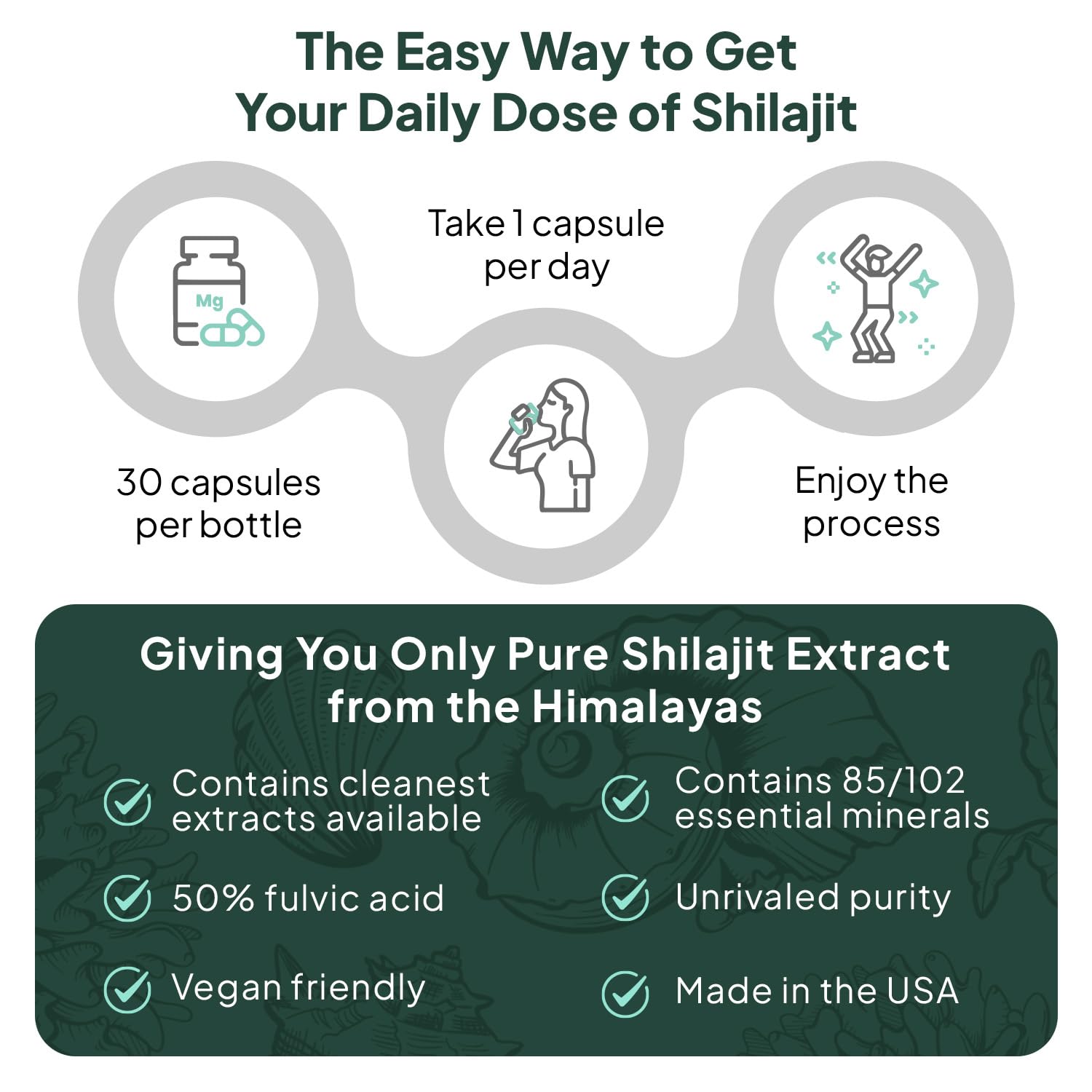 Organics Ocean Shilajit Supplement - Himalayan Shilajit

