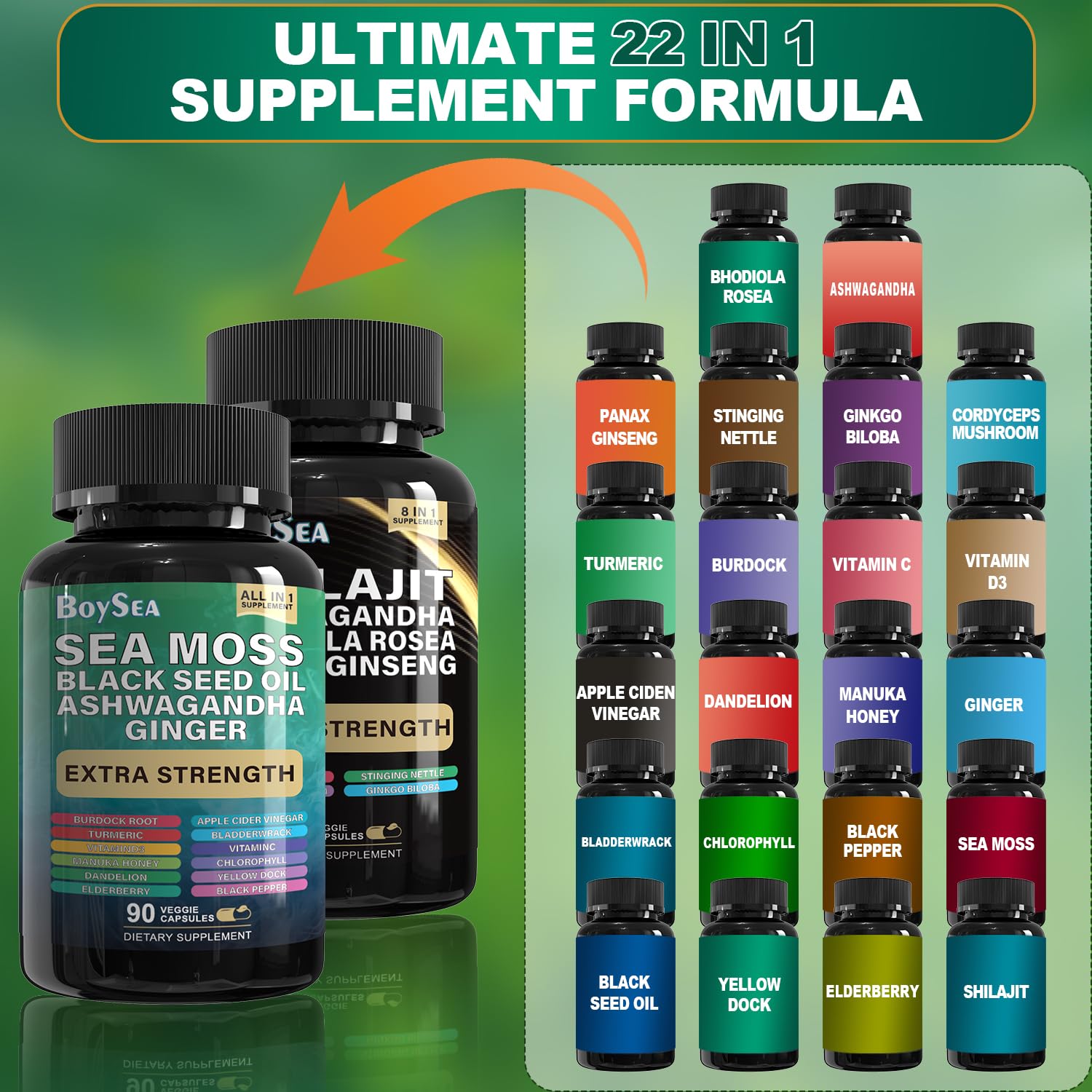 Boysea Shilajit & Sea Moss Bundle | All-in-One Supplements

