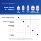Pure Encapsulations NAC 600 mg | Lung & Liver Support

