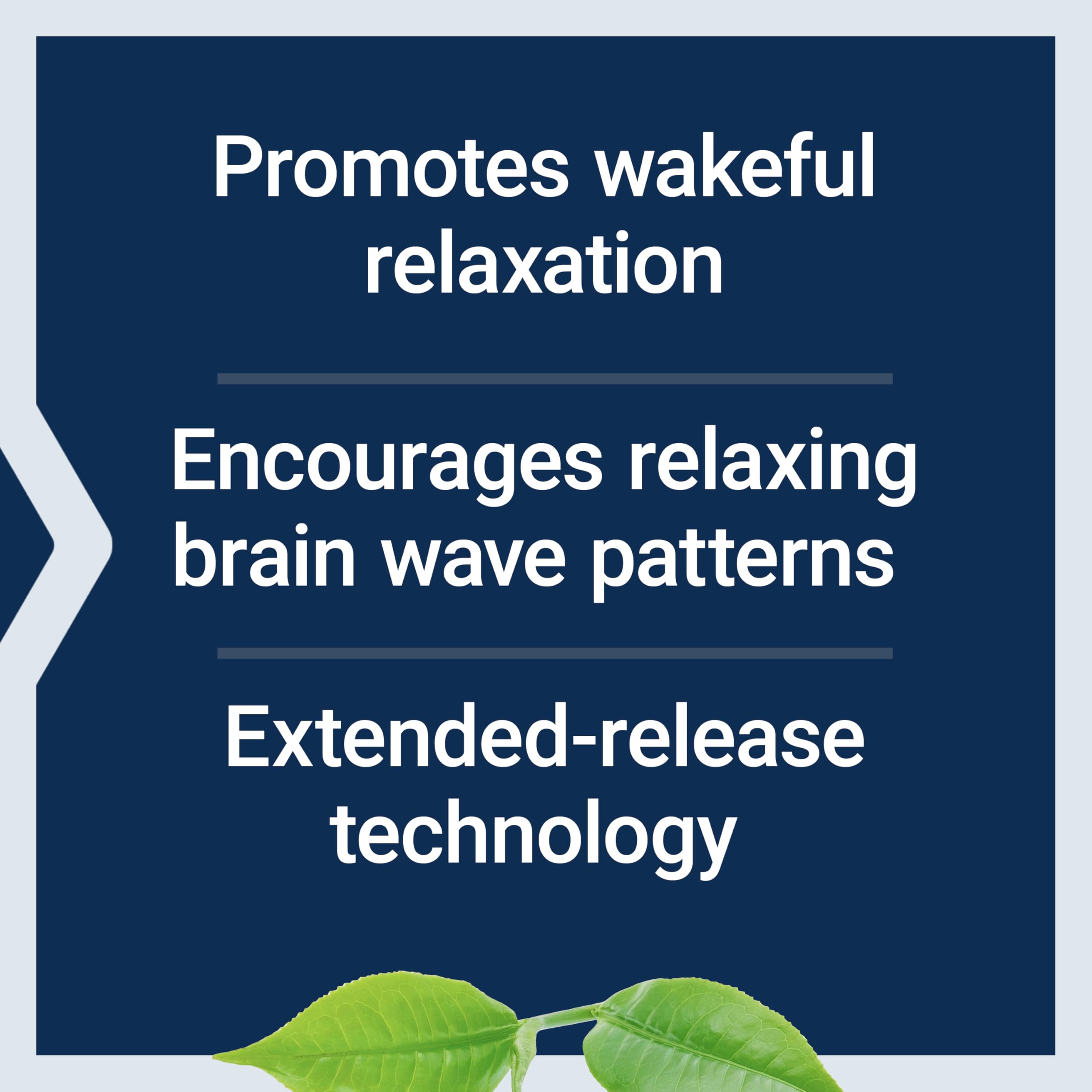 Life Extension Theanine XR Stress Relief Calming Supplement

