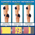 asusxcli GLP-1 Synbiotic Supplement for Metabolic Health

