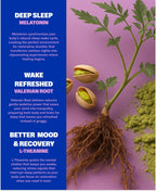 NuStrips Sleep Aid - Fast-Dissolving Natural Sleep Support

