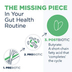 Designs for Health Tri-Butyrin Supreme Postbiotic Gut Health

