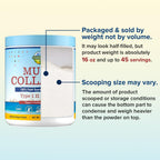 Terranics Multi Collagen Peptides Powder Unflavored|Type I-X

