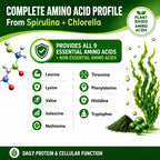Chlorella Spirulina Capsule | Green Superfood

