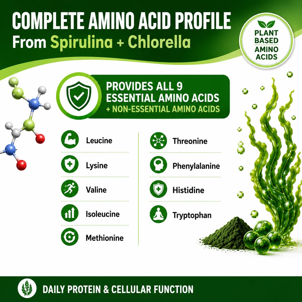 Chlorella Spirulina Capsule | Green Superfood

