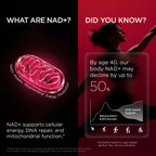 NAD+ Supplement for Women by Selerb | Energy & Skin Health

