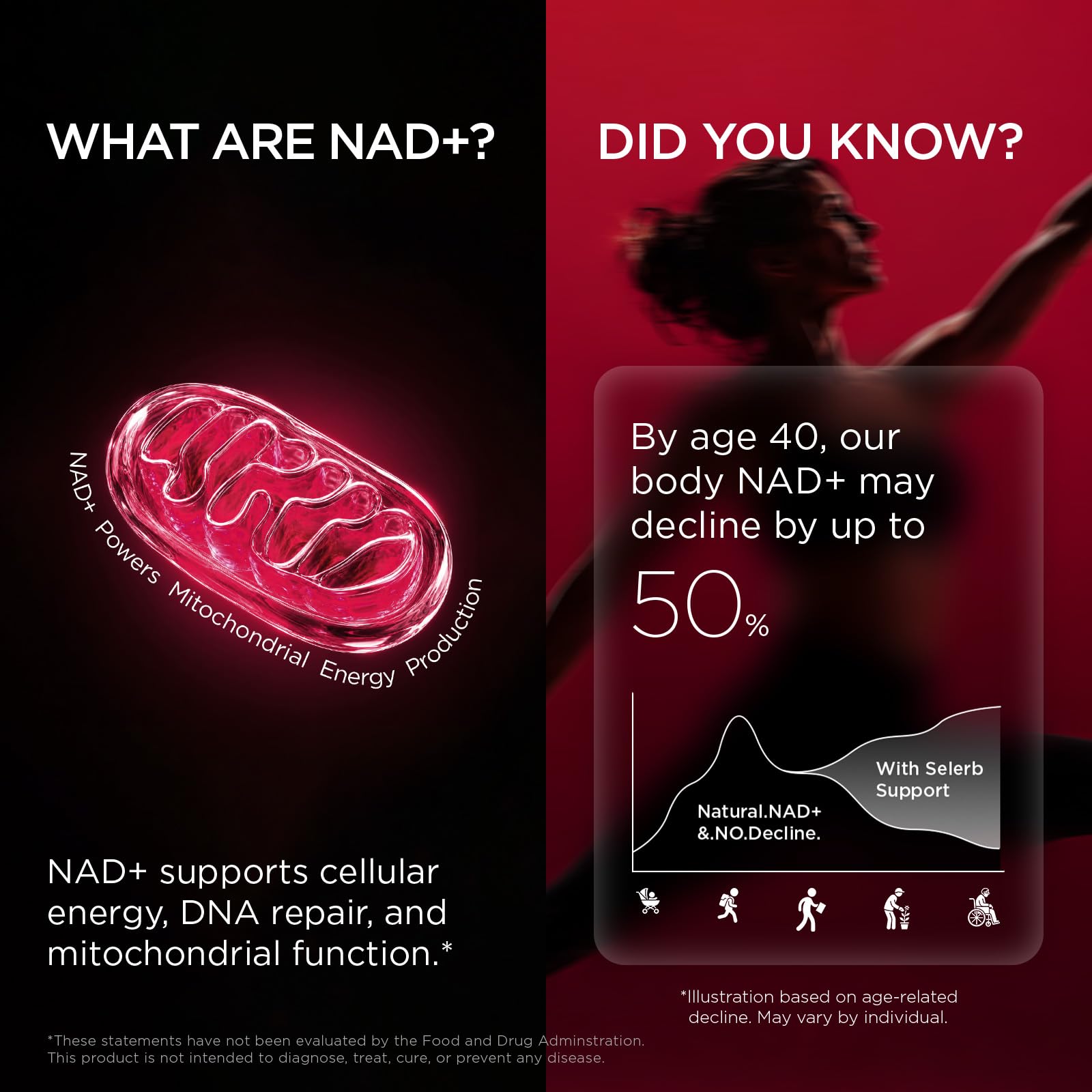 NAD+ Supplement for Women by Selerb | Energy & Skin Health

