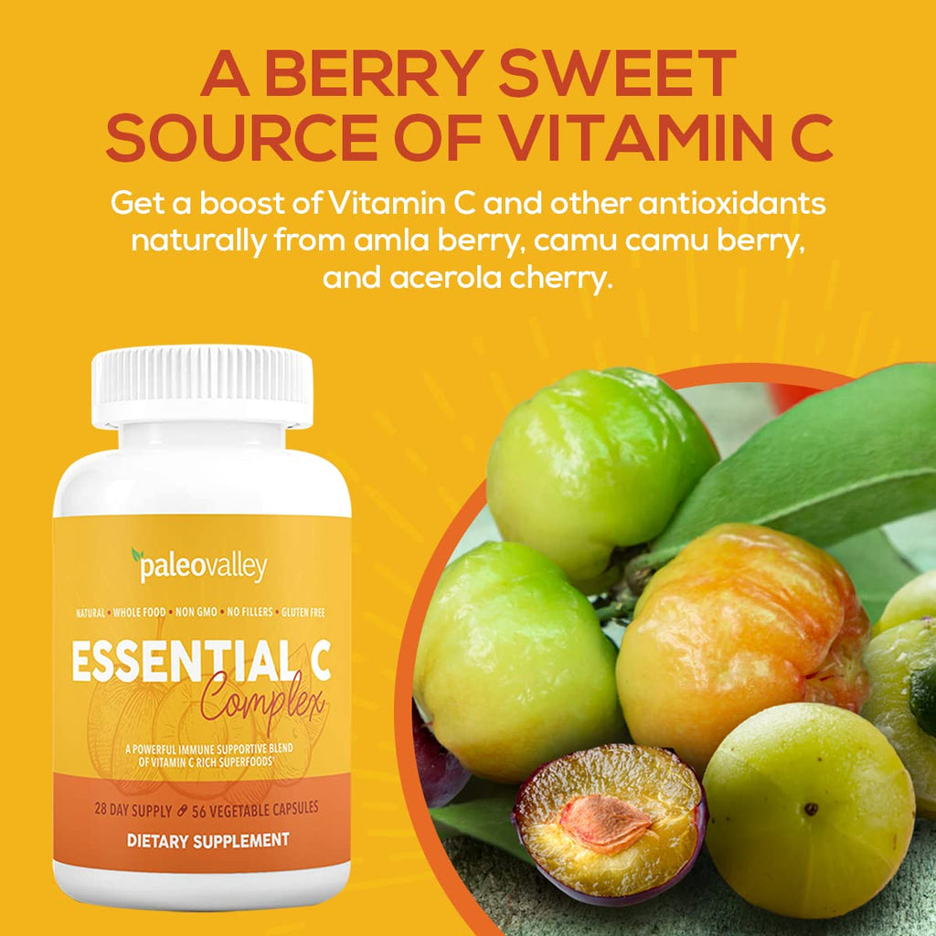 Vitamin C Paleovalley Essential C Complex Supplement

