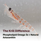 Micro Ingredients Antarctic Krill Oil with Phospholipids

