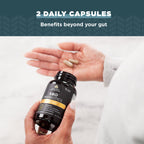 Ancient Nutrition SBO Probiotics for Digestive Health

