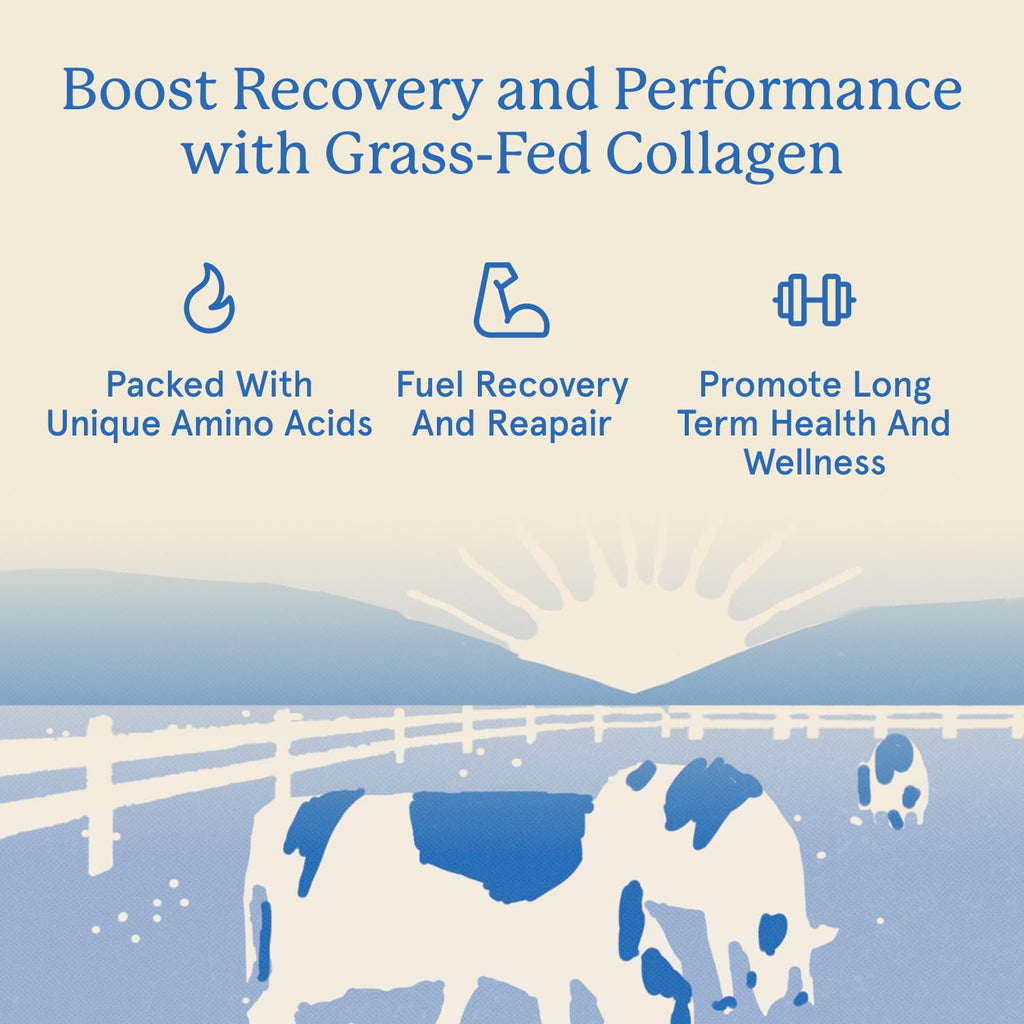 Equip Foods Grass-Fed Collagen Powder | Bovine Peptides

