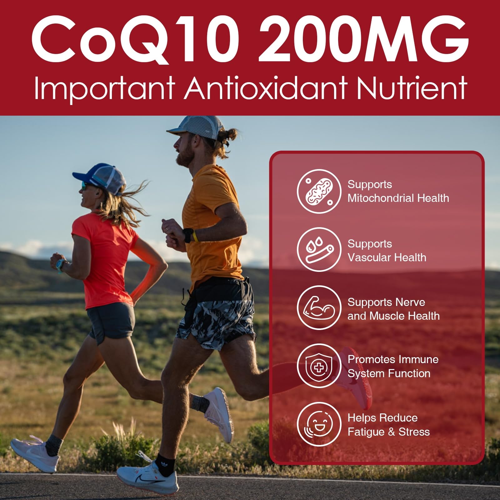 Nature Target CoQ10 Softgels with PQQ and Organic Olive Oil

