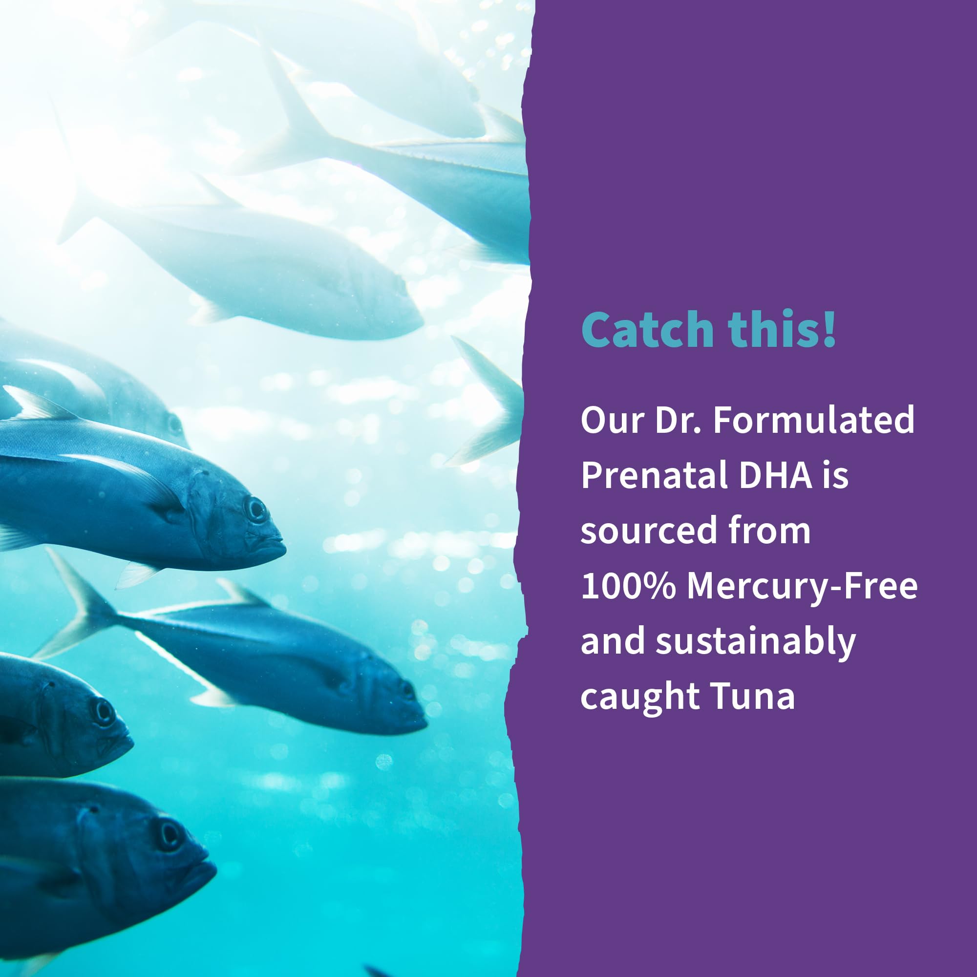 Garden of Life Prenatal DHA Omega-3 Softgels

