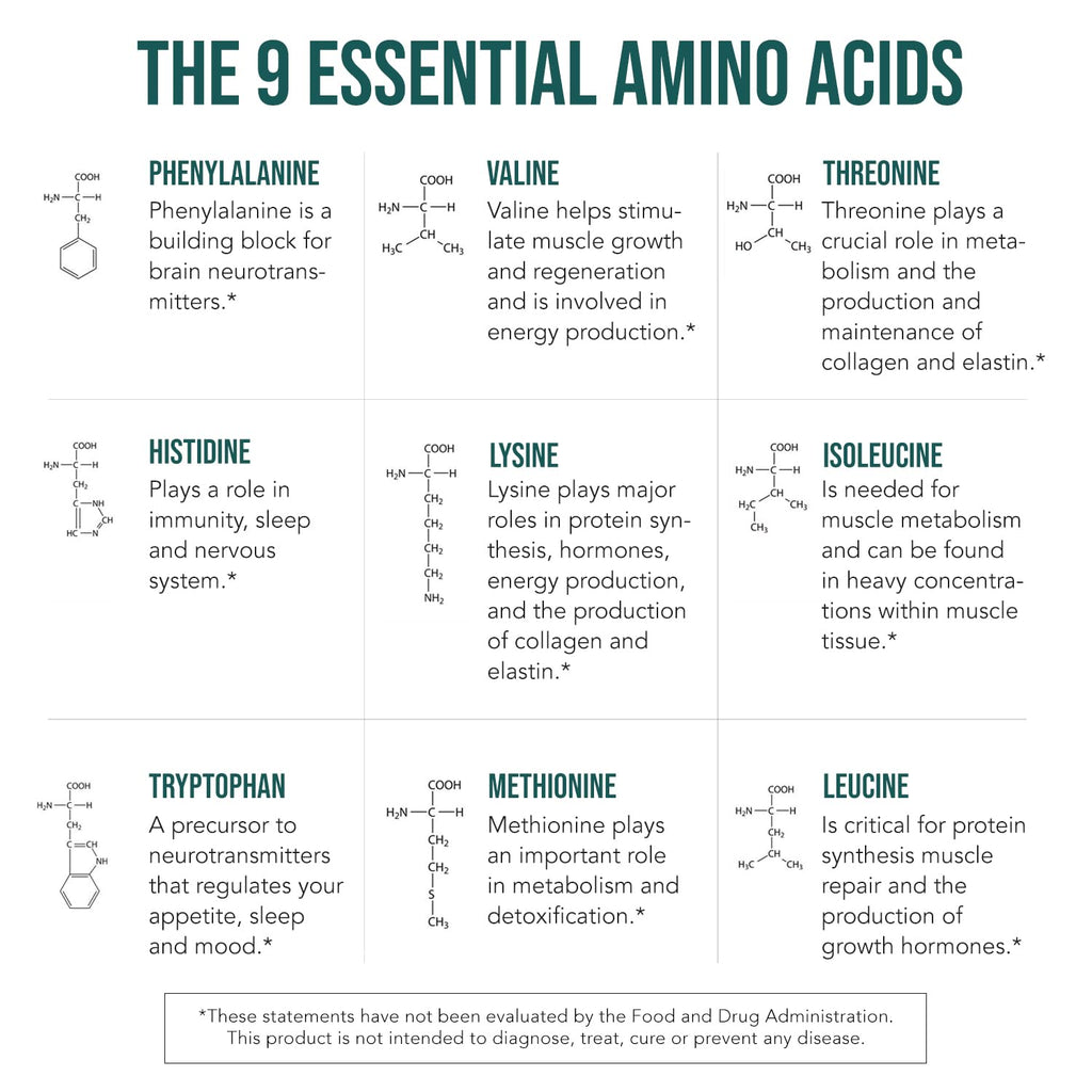 Amino Acids by Triquetra Health: Plant-Based Essentials

