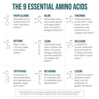 Amino Acids by Triquetra Health: Plant-Based Essentials

