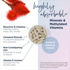 Designs for Health Prenatal Pro Methylated Multivitamin

